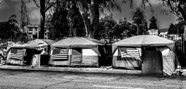 Vet-Row,-Los-Angeles,-California,-2021.jpg