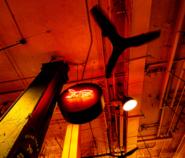 Bunny Peek_Central Market_Los Angeles_CA_2026.jpg